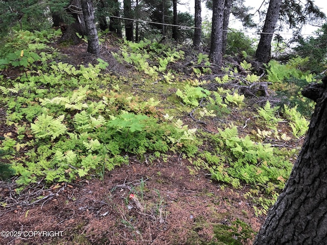 L1 Shoreline Dr, Seldovia, AK 99663 - photo 15