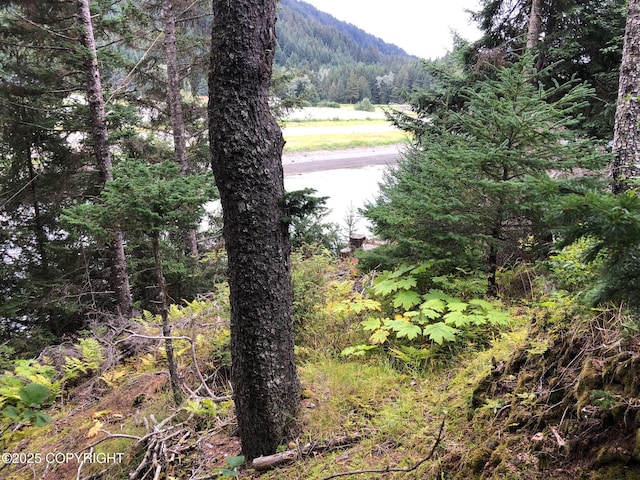 L1 Shoreline Dr, Seldovia, AK 99663 - photo 16