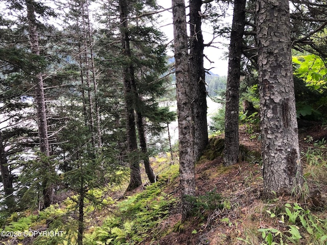 L1 Shoreline Dr, Seldovia, AK 99663 - photo 17