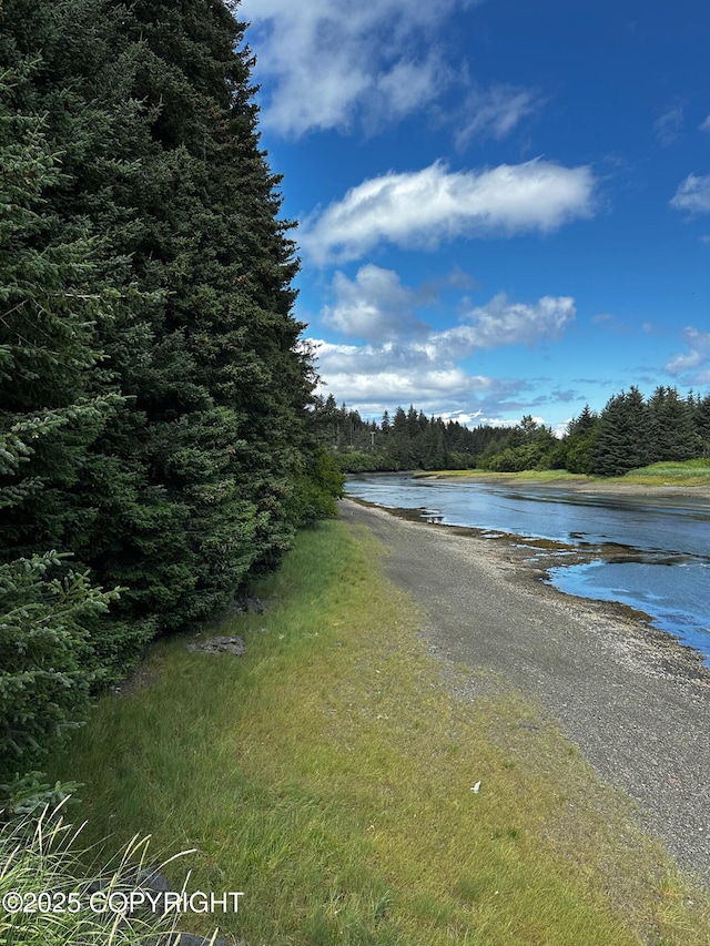L1 Shoreline Dr, Seldovia, AK 99663 - photo 10