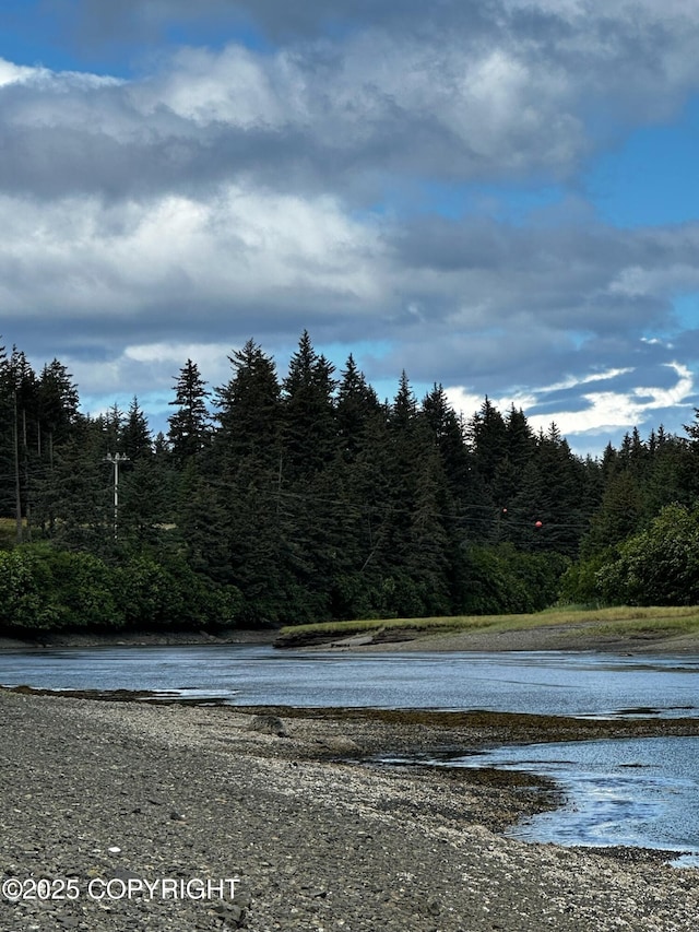 L1 Shoreline Dr, Seldovia, AK 99663 - photo 2