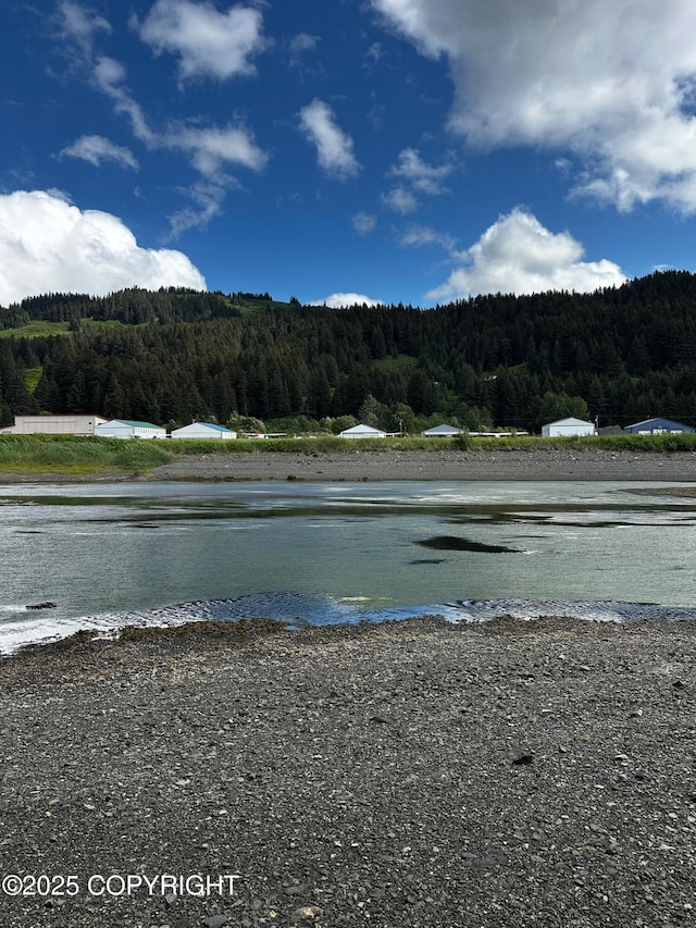 L1 Shoreline Dr, Seldovia, AK 99663 - photo 3