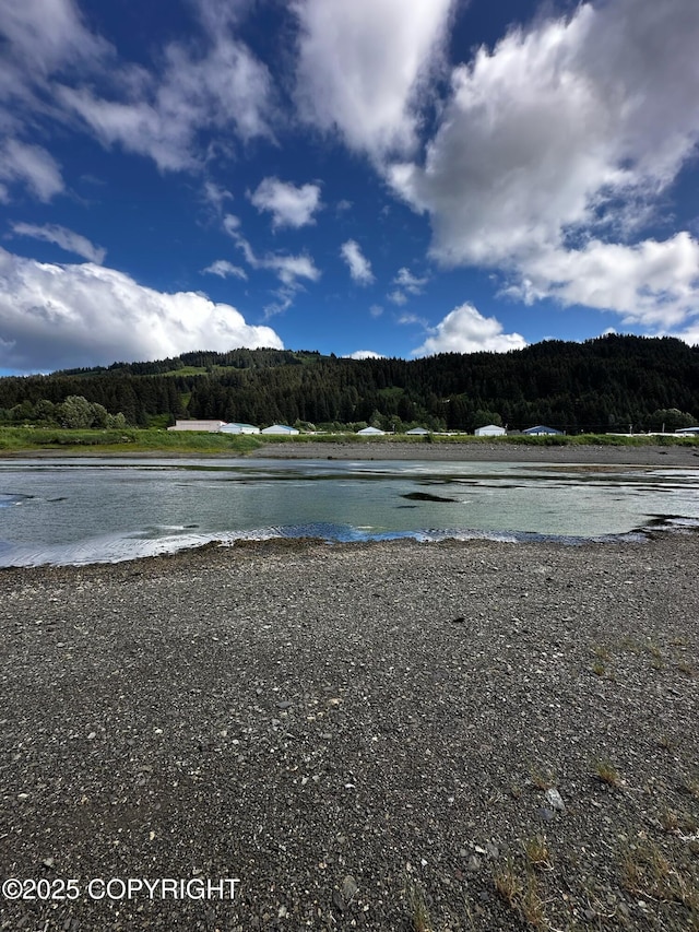 L1 Shoreline Dr, Seldovia, AK 99663 - photo 4
