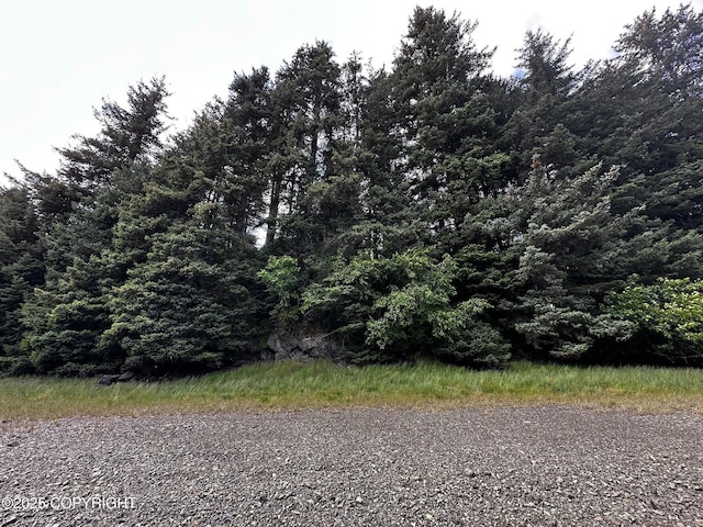 L1 Shoreline Dr, Seldovia, AK 99663 - photo 8