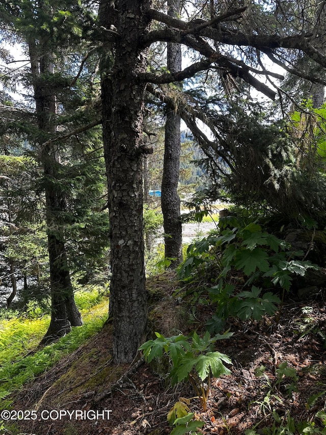 L1 Shoreline Dr, Seldovia, AK 99663 - photo 18