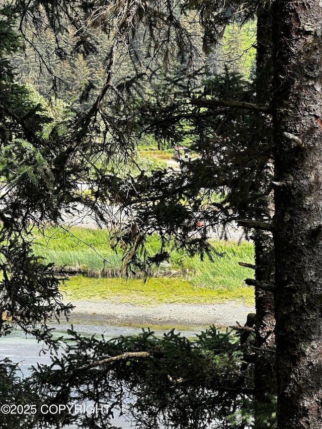 L1 Shoreline Dr, Seldovia, AK 99663 - photo 20