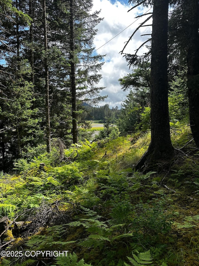 L1 Shoreline Dr, Seldovia, AK 99663 - photo 21
