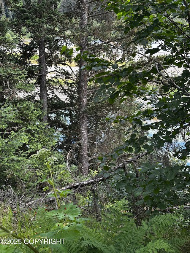 L1 Shoreline Dr, Seldovia, AK 99663 - photo 22