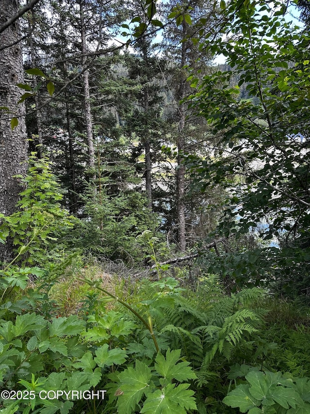 L1 Shoreline Dr, Seldovia, AK 99663 - photo 23