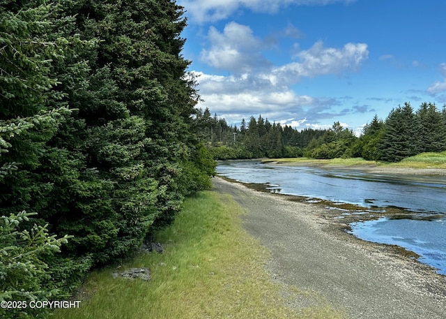 L1 Shoreline Dr, Seldovia, AK 99663 - photo 1