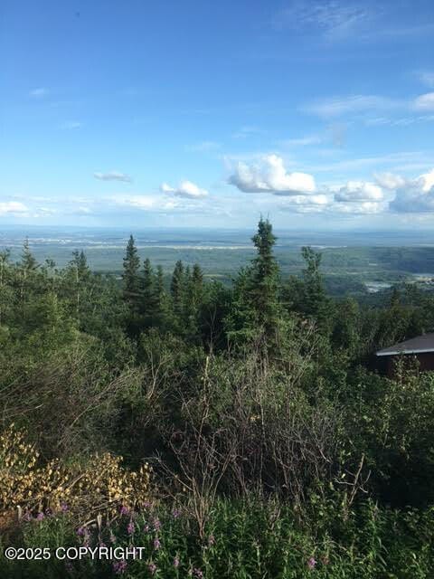 396 Nordstrasse Rd, Fairbanks, AK 99709 - photo 34