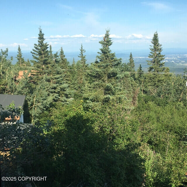396 Nordstrasse Rd, Fairbanks, AK 99709 - photo 35