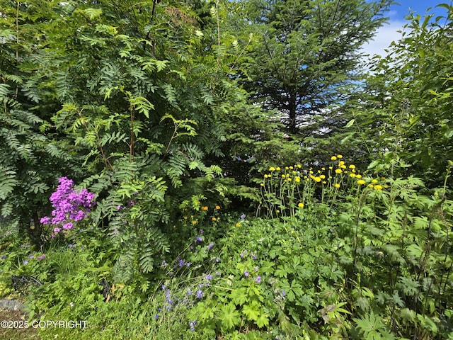 1700 Phoenix Rd, Seward, AK 99664 - photo 22