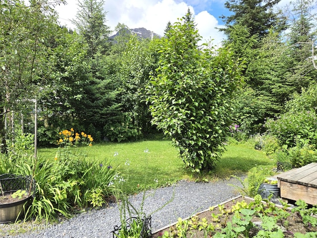 1700 Phoenix Rd, Seward, AK 99664 - photo 21