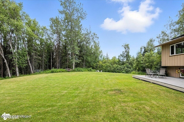 33095 Skyline Dr, Soldotna, AK 99669 - photo 57