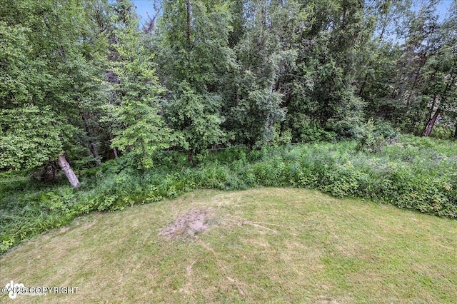 33095 Skyline Dr, Soldotna, AK 99669 - photo 65