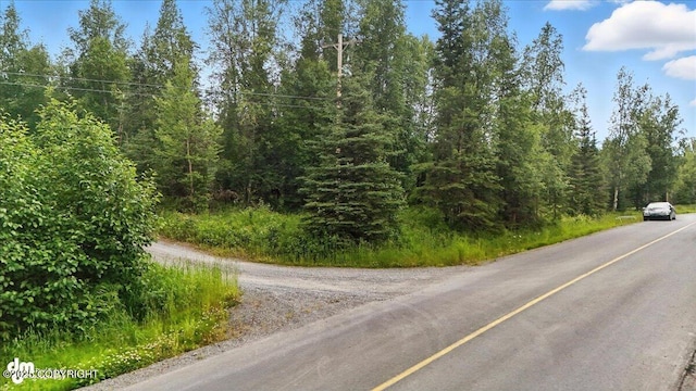 33095 Skyline Dr, Soldotna, AK 99669 - photo 68