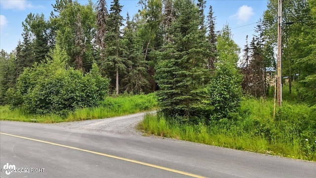 33095 Skyline Dr, Soldotna, AK 99669 - photo 69