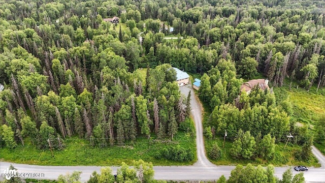 33095 Skyline Dr, Soldotna, AK 99669 - photo 70