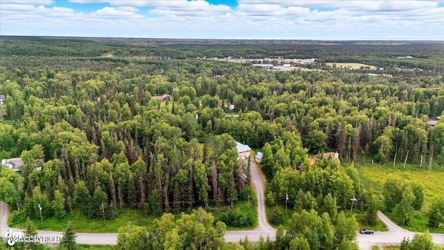 33095 Skyline Dr, Soldotna, AK 99669 - photo 71