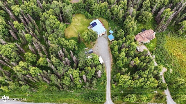 33095 Skyline Dr, Soldotna, AK 99669 - photo 72