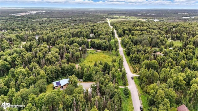 33095 Skyline Dr, Soldotna, AK 99669 - photo 77