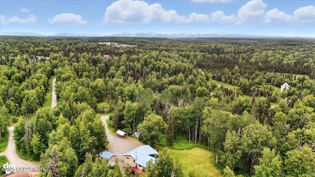 33095 Skyline Dr, Soldotna, AK 99669 - photo 78