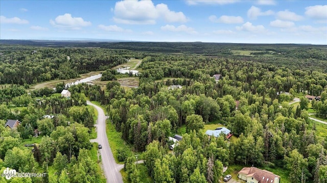 33095 Skyline Dr, Soldotna, AK 99669 - photo 80