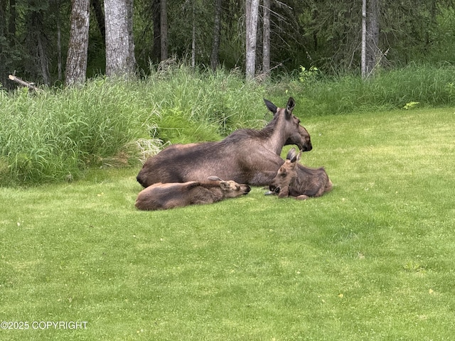 33095 Skyline Dr, Soldotna, AK 99669 - photo 82