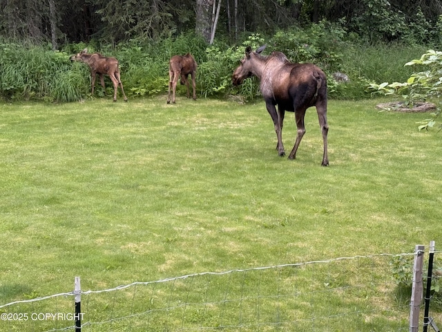 33095 Skyline Dr, Soldotna, AK 99669 - photo 86