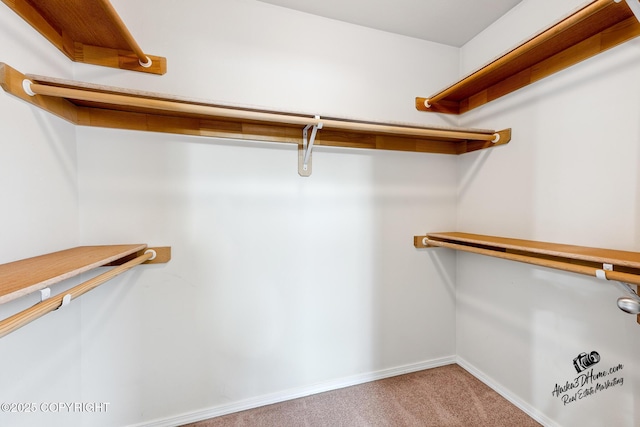 6507 Kara Sue Loop # 83, Anchorage, AK 99504 - walk in closet with carpet