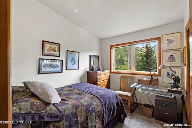 18257 Norway Dr, Anchorage, AK 99516 - photo 26