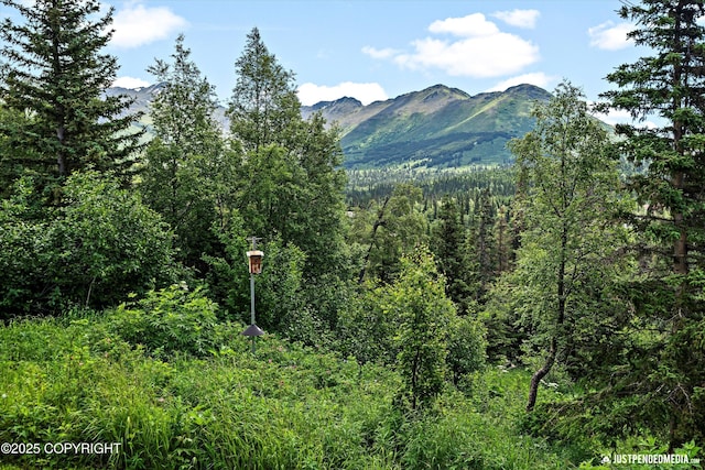 18257 Norway Dr, Anchorage, AK 99516 - photo 40