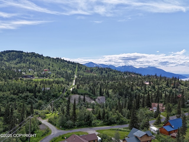 18257 Norway Dr, Anchorage, AK 99516 - photo 60