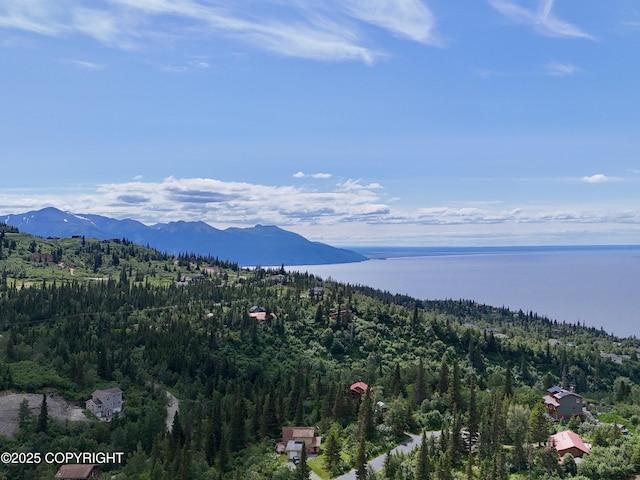 18257 Norway Dr, Anchorage, AK 99516 - photo 61