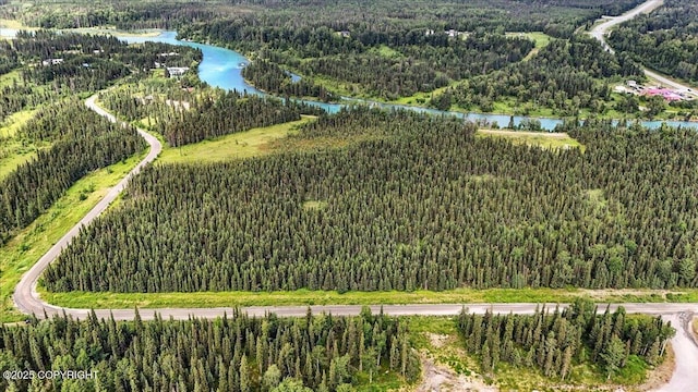 L3 Kasilof River Rd, Kasilof, AK 99610 - photo 2
