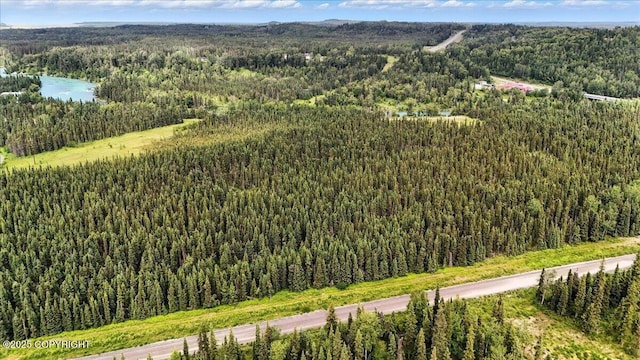 L3 Kasilof River Rd, Kasilof, AK 99610 - photo 3