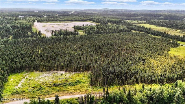 L3 Kasilof River Rd, Kasilof, AK 99610 - photo 4