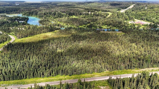 L3 Kasilof River Rd, Kasilof, AK 99610 - photo 5