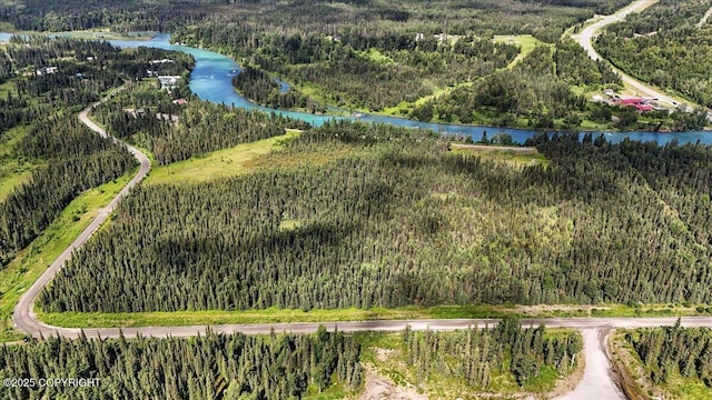 L3 Kasilof River Rd, Kasilof, AK 99610 - photo 6