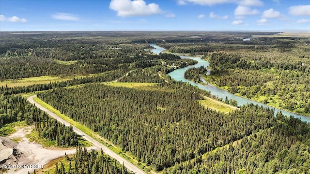 L3 Kasilof River Rd, Kasilof, AK 99610 - photo 7