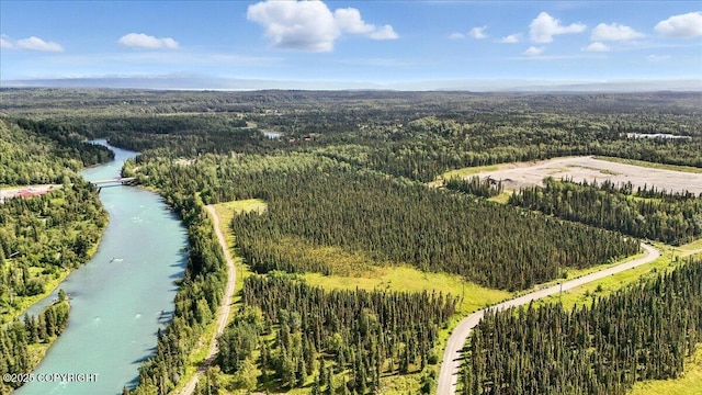 L3 Kasilof River Rd, Kasilof, AK 99610 - photo 8