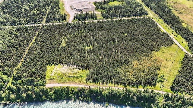 L3 Kasilof River Rd, Kasilof, AK 99610 - photo 9