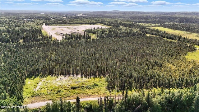 L3 Kasilof River Rd, Kasilof, AK 99610 - photo 12