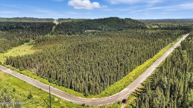 L3 Kasilof River Rd, Kasilof, AK 99610 - photo 13