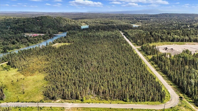 L3 Kasilof River Rd, Kasilof, AK 99610 - photo 14