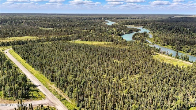 L3 Kasilof River Rd, Kasilof, AK 99610 - photo 15