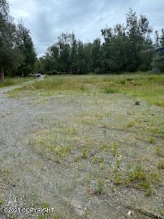 2265 E Grizzly Bear Dr, Wasilla, AK 99654 - photo 5