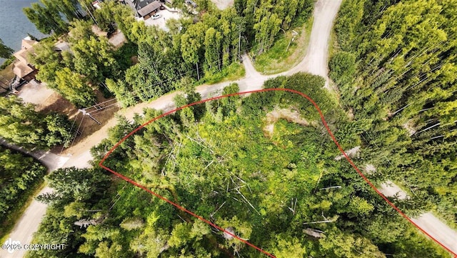 L7 W Erika Dr, Big Lake, AK 99654 - photo 3