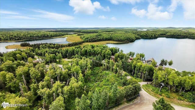 L7 W Erika Dr, Big Lake, AK 99654 - photo 8